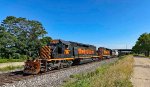 WE 7017 leads Z641-25.